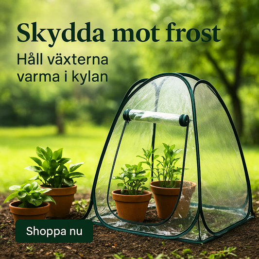 ❄️ Frostskyddande växthustält för växter & blommor