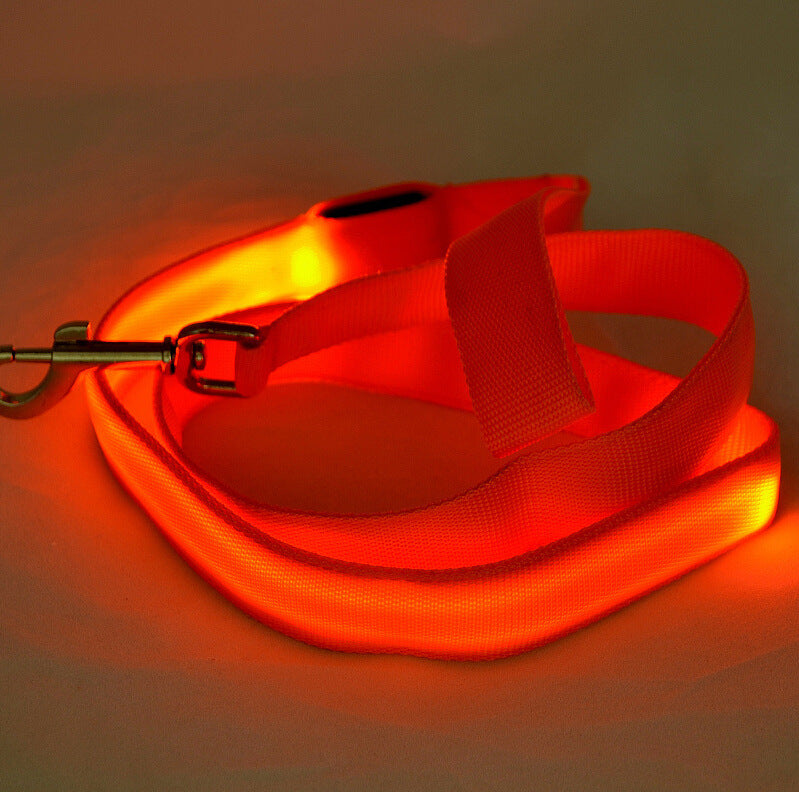 Hundkoppel med LED-ljus för kvällspromenader