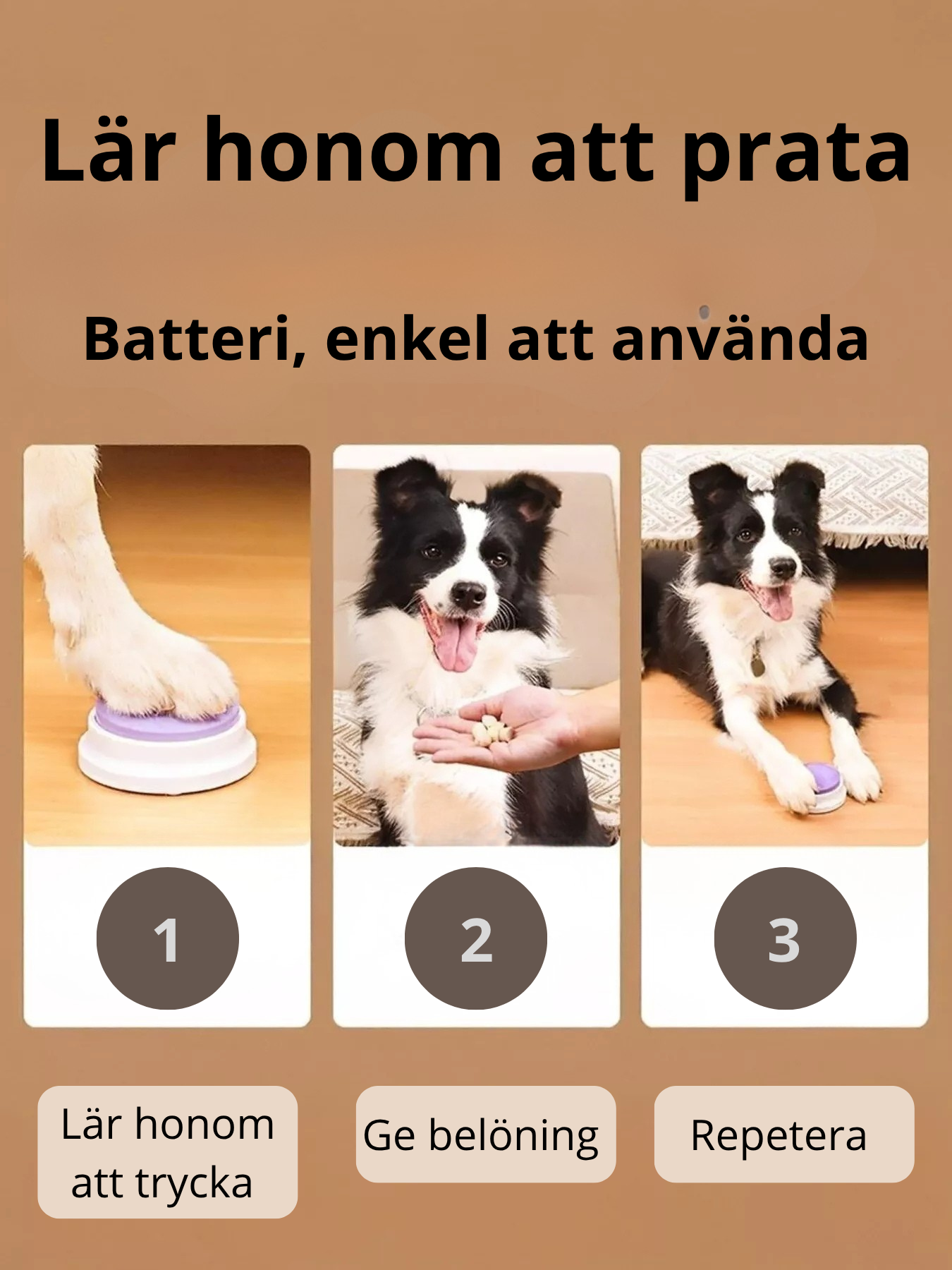 Inspelningsbara Kommunikationsknappar för Husdjur