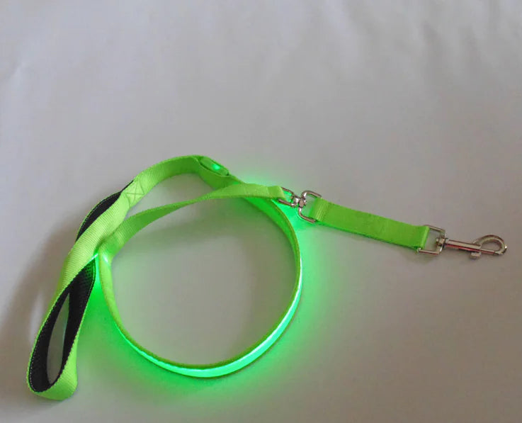 LED-reflekterande sele med koppel för husdjur
