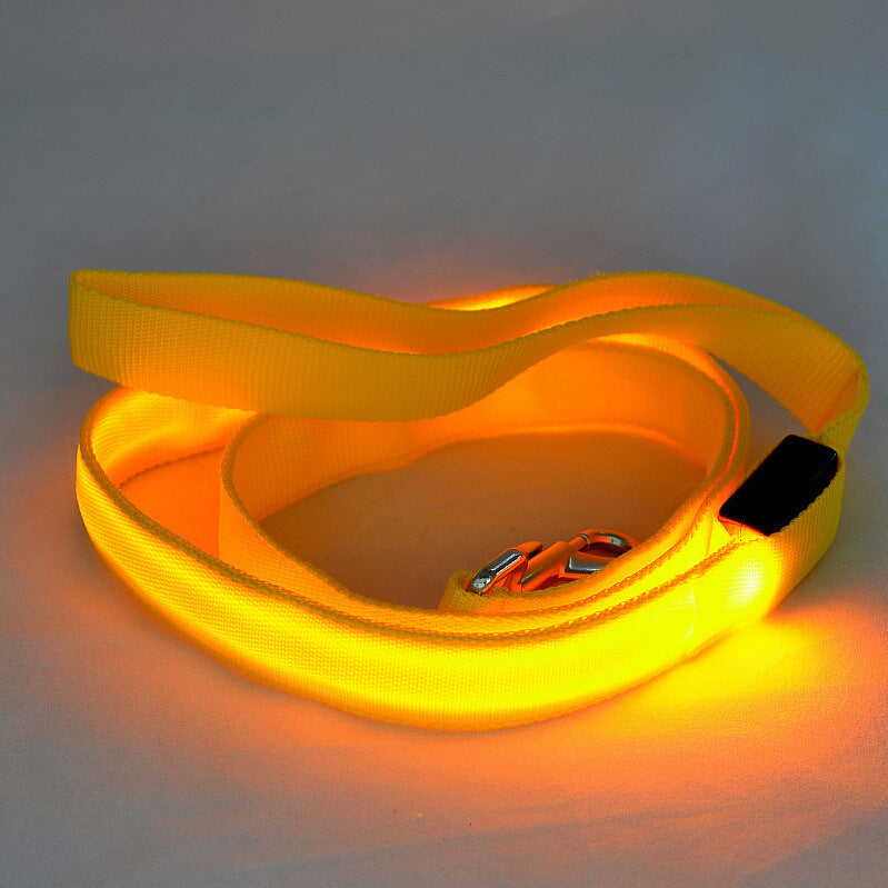 Hundkoppel med LED-ljus för kvällspromenader