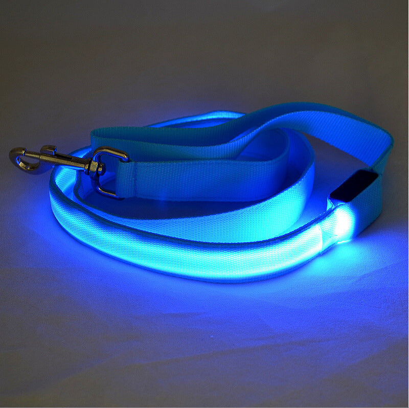Hundkoppel med LED-ljus för kvällspromenader