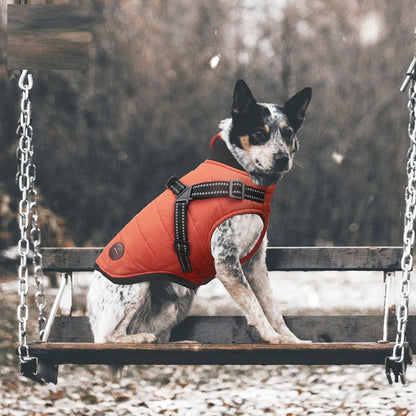Vadderad vinterjacka för hund, flera färger